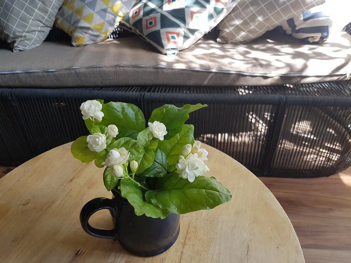 La La House Homestay Nha Trang Apart-hotel