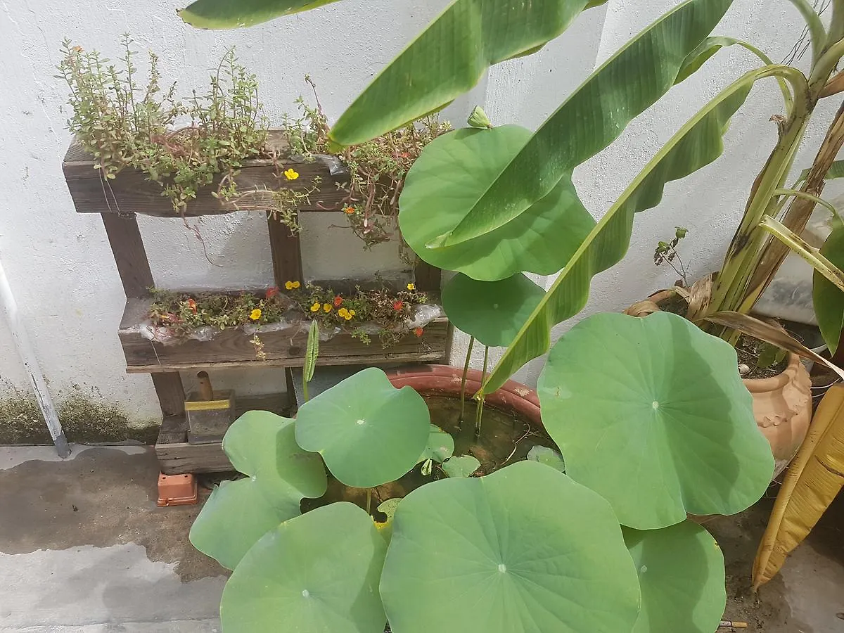 La La House Homestay Nha Trang